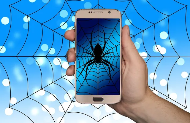 smartphone, hand, web, spider web, spider, internet, network, social, social network, logo, facebook, google, social networking, networking, social media, seeks, caught, addicted,. Early social networks guide: practical steps and context