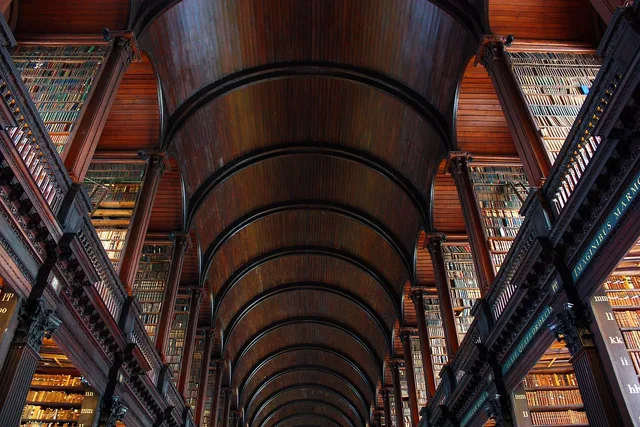 library, inside, bookshelf, wood, book, books, arc, arches, rack, culture, strips, reading, light, columns, shelves, silence, dublin, trinity college, library, library, bookshelf, bookshelf, bookshelf, bookshelf, bookshelf, dublin, dublin, dublin, dublin, trinity college. Internet culture archives move constantly: writing a citation that survives