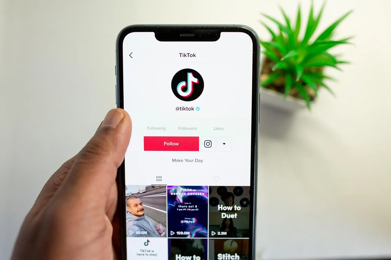 hand, smartphone, tiktok, app, application, phone application, screen, lcd, mobile phone, mobile app, mobile application, phone, tiktok, tiktok, tiktok, tiktok, tiktok. Social media slang research: what to collect and clear